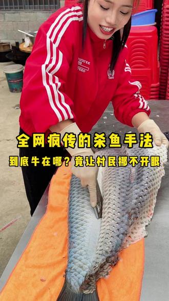 全网疯传的杀鱼手法牛在哪? 全网疯传的杀鱼手法,到底牛在哪?竟让村民挪不开眼#起鱼鳞技术 #下乡做鱼生 #杀鱼技术 #同款小刀