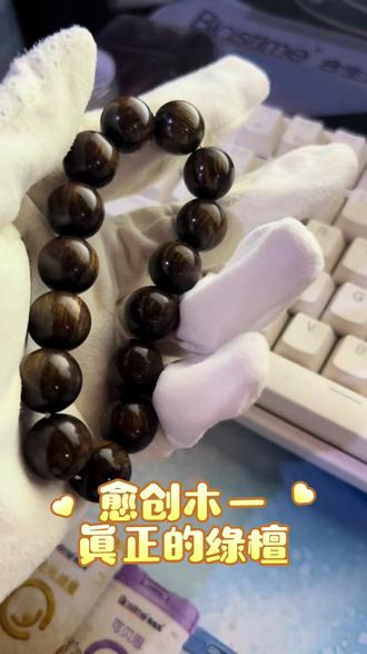 真正的绿檀手串,愈创木手串 真正的绿檀手串,愈创木手串
精心盘玩:盘玩的核心在于干净和耐心。初期最好用棉布手套盘搓,去除表面木粉,切忌直接上手或用汗手盘玩。盘玩一段时间后,需将手串放置在阴凉处几天,让其表面氧化,形成保护层,之后可循环此过程。坚持盘玩,手串会逐渐呈现琥珀般的金质光泽。
· 细心保养:避免长时间接触水,洗手沐浴时最好取下。避免与硬物刮擦,注意防摔。远离高温暴晒,不戴时可放入专用布袋或盒子中保存。
它不像文玩市场上的木材可以随意获取和盘玩,而是全世界重点保护的对象。我们更应该以敬畏和保护的态度去认识它,让它能继续在地球上繁衍生息。#愈创木手串 #绿檀手串 #维腊木 #文玩手串 #盘串