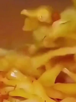#十块钱不到一箱5斤装的涪陵榨菜,你们赶紧来抢,它咸香入味, 脆脆爽爽,可炒可凉拌