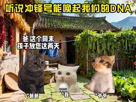 听说冲锋号能唤醒我们的DNA#猫meme小剧场