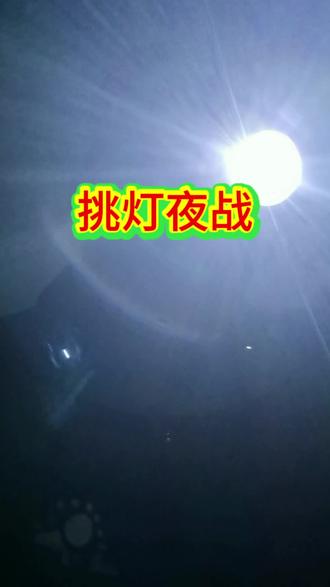 灾后复壮刻不容缓,挑灯夜战争取时间#冰雹 #日照 #玉米 #花生 #芋头