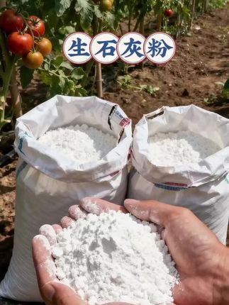 #生石灰粉#石灰粉#土壤改良 #农用物资 #养殖场专用