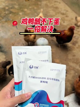 #蛋禽养殖#鸡鸭鹅养殖#鸡不下蛋#鸡吃什么下蛋多#增蛋宝