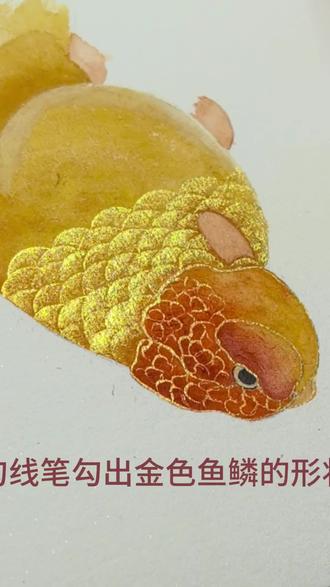 画鱼鳞的解压时刻#兰寿金鱼 #零基础学国画