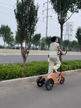 #纬嘉健身踏步车 最近爱上的大玩具,一个月10斤拿下