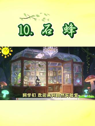 统编版三年级下册第三单元,10.巜石蜂》,Ai赋能情境式任务群精品公开课。
(课件)
#课件十教案+逐字稿+说课稿t学习单+反思+板书