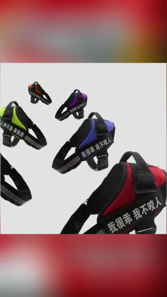 狗狗胸背带遛狗牵引绳金毛拉布拉多萨摩阿拉斯加中大型犬狗链子#狗狗胸背带 #遛狗牵引绳 #宠物胸背带 #胸背带牵引绳 #遛狗神器