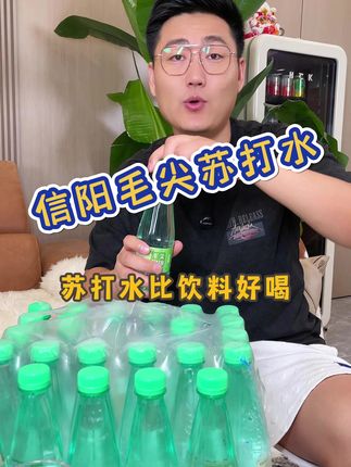 #毛尖苏打水 #多喝水 #清凉一夏