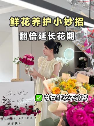 一口的装修日记