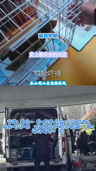 乐山到山东宠物托运 。张先生(186-3062-0657)。可到:济南-菏泽-滨州-莱芜-日照-威海-枣庄-青岛-临沂-泰安-东营-烟台-德州-潍坊-聊城-济宁-淄博。整合多条出行路线,结合实际情况敲定最优运送方案异地搬迁宠物随行,安稳护送陪伴主人奔赴新居#乐山到山东宠物托运 #宠物托运 #人宠同行 #包车