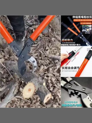 粗枝剪 #大白鲨粗枝剪#粗枝剪 #果树修剪 剪刀