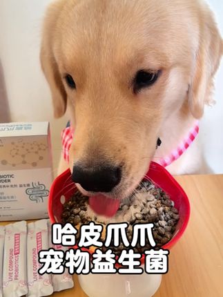 养宠家庭可以不准备零食,但一定要常备益生菌!#科学养宠攻略 #新手养狗 #狗狗好物推荐 #宠物好物推荐 #哈皮爪爪