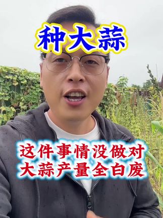 这件事情做不对,大蒜产量全白废!#大蒜 #种大蒜 #大蒜种植 #大蒜种植技术 #三农