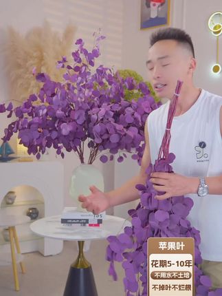 哇撒不需要养护的花花他来了,真花真绿植,鲜花#鲜花速递#鲜花