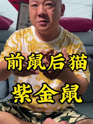 前鼠后猫紫金鼠#文玩核桃#文玩手串#文玩爱好者