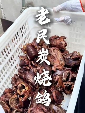 #辽阳美食 #美食#送礼 #送礼佳品 老民烧鸽子