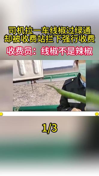 司机拉一车线椒过绿通,却被收费站拦下强行收费。收费员:线椒不是辣椒1/3