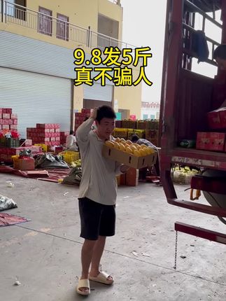 #芒果 #台农芒果