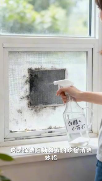 保洁阿姨私藏!纱窗清洁小妙招,一喷一盖#小妙招大作用 #日常生活小妙招 #一般人不告诉他 #分享生活小技巧 #知识科普