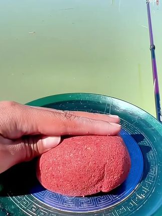 钓鱼王地狱猫,比红虫蚯蚓上鱼还快的爆护饵料,针对大板鲫兼草鱼鲤鱼鳊鱼翘嘴都可以#爆护饵料 #冬钓鲫鱼 #黑坑 #野钓大板鲫 #鱼饵推荐