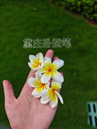 用它!一笔搞定妈生粉蚕卧蚕!!这下再也不会找不准位置了~#学生党好物推荐 #卧蚕 #平价彩妆 #双头卧蚕笔#美妆好物