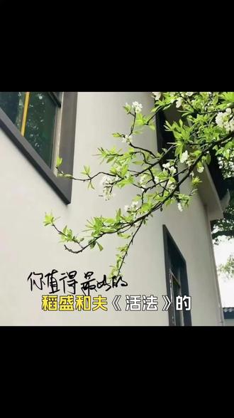 稻盛哲学的核心要义
稻盛和夫提出的"作为人,何谓正确"这一根本问题,直指人生的本质。在这个问题上,他给出了一个简单而深刻的答案:遵循最基本的道德准则,做正确的事。这种看似简单的道理,却是解决现代社会复杂问题的关键。
"利他之心"是稻盛哲学的核心概念之一。在竞争激烈的商业环境中,稻盛和夫始终坚持利他原则,认为只有真正为他人创造价值,才能获得持久的成功。这种思想颠覆了传统的商业逻辑,为现代企业提供了新的发展思路。
"提升心性"是稻盛哲学的另一个重要维度。他认为,人生的意义在于不断提升自己的精神境界,通过日常工作和生活中的修炼,达到更高的人生境界。这种观点为现代人提供了一条实现自我价值的有效途径。