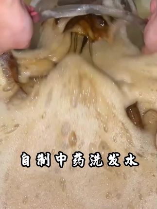 #自制洗发水 #侧柏叶洗发水 #养发护发 #头发出油