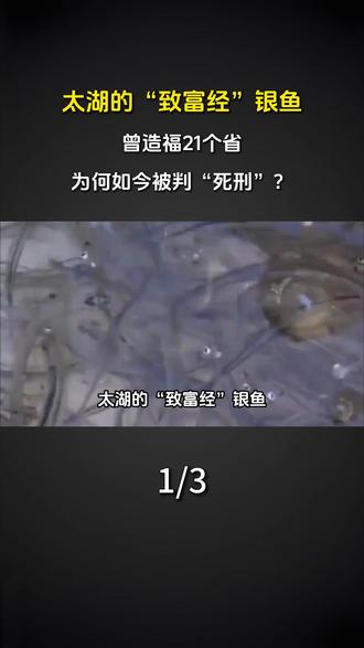 太湖的“致富经”银鱼,曾造福21个省,为何如今被判“死刑”?#科普 #涨知识 #银鱼