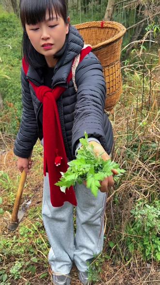 #农村野生山货 #纯天然野生食材 #蒿子粑粑 #心如姐姐#元宵节
心如姐姐,祝大家元宵节快乐!欢迎大家来林业局食堂吃青团汤圆过元宵!