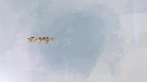 “文明有礼沈阳人”线上系列课堂开播啦!(185)#文明有礼沈阳人