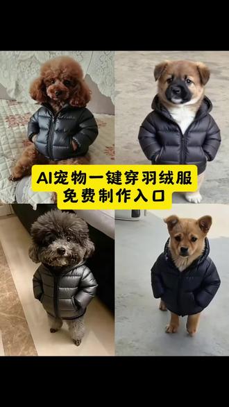 ai宠物一键穿羽绒服免费制作入口 ai宠物一键穿羽绒服 宠物穿羽绒服ai一键生成 狗狗羽绒服 动物绵服 ai搞笑视频 搞笑笑得肚子疼 #即梦ai#宠物羽绒服 宠物一键穿羽绒服教程,宠物一键穿羽绒服制作教程,宠物一键穿羽绒服ai教程,宠物一键穿羽绒服免费制作教程,宠物一键穿羽绒服教程入口,宠物一键穿羽绒服写真教程,宠物一键穿羽绒服 ai写真教程,宠物一键穿羽绒服ai制作教程,宠物一键穿羽绒服指令,宠物一键穿羽绒服ai指令,宠物一键穿羽绒服ai生成指令,宠物一键穿羽绒服口令,宠物一键穿羽绒服ai口令,宠物一键穿羽绒服生成方法,宠物一键穿羽绒服制作方法,宠物一键穿羽绒服制作口令,宠物一键穿羽绒服免费制作方法,宠物一键穿羽绒服免费制作入口,宠物一键穿羽绒服ai生成方法,宠物一键穿羽绒服ai制作方法,宠物一键穿羽绒服ai一键生成,宠物一键穿羽绒服制作指令,宠物一键穿羽绒服剪同款,宠物一键穿羽绒服一键做同款,宠物一键穿羽绒服一键生成,宠物一键穿羽绒服一键拍同款,宠物一键穿羽绒服制作流程,宠物一键穿羽绒服一键生成方法,宠物一键穿羽绒服一键生成指令,宠物一键穿羽绒服一键生成入口#宠物#宠物穿羽绒特效 动物穿羽绒服特效教程 动物穿羽绒服特效 动物穿羽绒服特效生成指令 动物穿羽绒服 ai特效 动物穿羽绒服制作特效 动物穿羽绒服特效制作 动物穿羽绒服ai特效教程 动物穿羽绒服 特效制作教程 动物穿羽绒服特效口令 动物穿羽绒服特效指令 动物穿羽绒服特效入口 动物穿羽绒服特效方法 动物穿羽绒服特效制作入口 动物穿羽绒服 特效制作方法 动物穿羽绒服特效生成口令 动物穿羽绒服ai特效制作教程 动物穿羽绒服特效一键剪同款 动物穿羽绒服特效免费制作入口 动物穿羽绒服 特效免费制作教程#动物