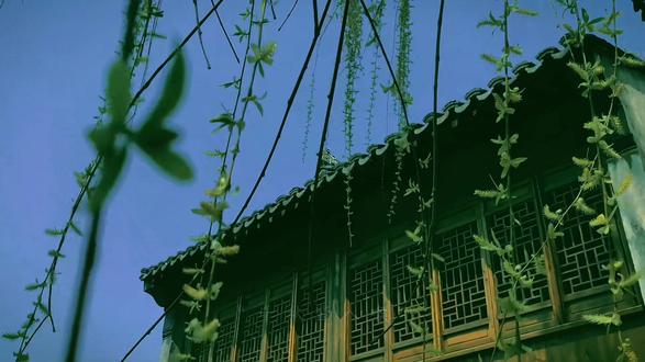 心脉受损 是转运#人生感悟 #心脉受损
#情感语录共鸣 #创作者中心 #创作灵感