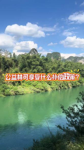 公益林可享受什么补偿政策?
在广西的国家级和自治区级公益林均有生态补偿政策,其中自然保护区内的公益林还享受差异化提标补助,具体如下:
1.普通公益林:权属为集体和个人的国家级公益林,生态效益补偿补助标准为16元/年·亩;自治区级公益林按国家级公益林的标准统一补偿,补助资金每年通过“一卡通”方式兑付。
2.自然保护区内公益林:实行差异化提标补助,2025年的补偿标准为土山36元/年·亩、石山22元/年·亩,分别比保护区外普通公益林高出20元/年·亩和6元/年·亩,以此保障保护区内林农的相关收益。
此外,广西还会通过林业改革发展资金推动自然保护区人工林赎买试点,如曾安排1200万元在九万山国家级自然保护区等地开展相关试点,进一步化解生态保护与林农收益间的矛盾。
#创作者中心 #创作灵感 #公益林 #土地流转 #崇左