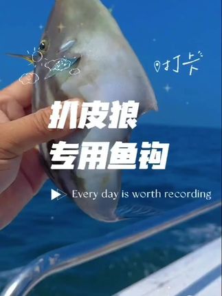 秋季海钓必备 #海钓船钓 #扒皮狼鱼钩 #跟着钓友去钓鱼 #因为热爱所以坚持 #海钓技巧