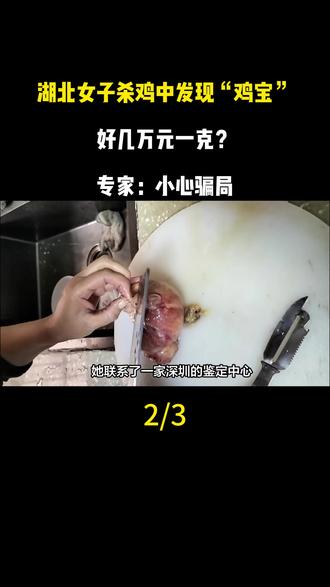 湖北女子杀鸡中发现“鸡宝”,好几万元一克?专家:小心骗局