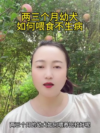 #每天跟我涨知识 #涨知识 #养殖小妙招 #狗狗#狗