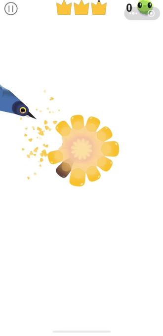 疯狂鸽子2 1-5关#疯狂的鸽子