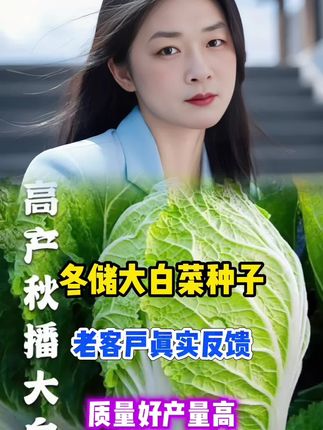 冬储大白菜客户真实反馈,质量好产量高,怎么做都好吃,赶紧种起来吧!#农业种植 #新农人计划 #三农 #白菜 #优质种苗