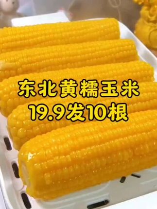 19块9到手10根,而且还都是大棒🌽#东北黄糯玉米 软糯香甜又大又糯又甜#糯玉米的营养价值 #超便宜超划算 #东北甜糯玉米 #粗粮