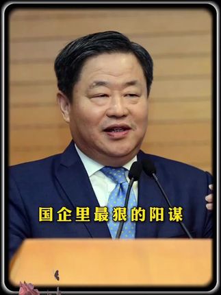 国企里最狠的阳谋 #人物志 #商业思维 #宁高宁 #国企