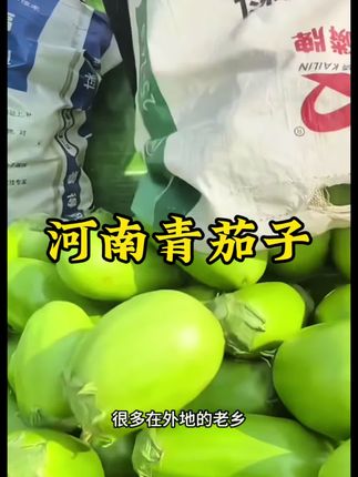 #青茄子#新鲜采摘 #农产品