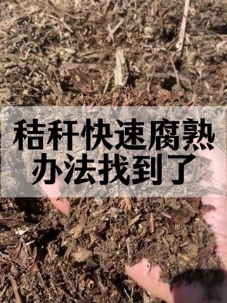 秸秆快速腐熟的办法找到了 #秸秆还田 #秸秆还田宝 #秸秆综合利用 #秸秆腐熟