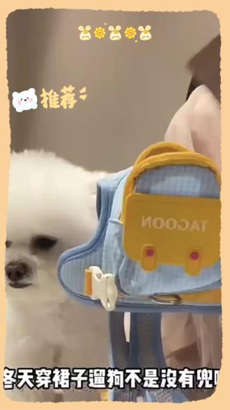 自从有了这个背包,走到哪都有人问我在哪买的,真的太好用了!它不仅好看,还特别实用,出门的时候可以直接把纸巾装进去,再也不用担心忘记带 拾便袋了!而且它的面料很舒服,不会勒到狗狗的脖子,还能轻松控制狗狗的速度,不管是散步还是跑步都很方便~#狗狗背包牵引绳 #狗狗背包 #狗狗背包外出 #狗狗书包 #狗狗书包外出便携包