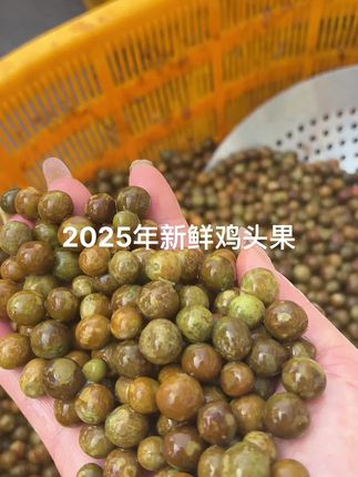 二青打磨原味鸡头果,粒粒饱满皮薄肉厚,软糯香甜,冷水下锅煮五分钟就可以吃了,好吃不腻,当饭后零食太爽了,这鸡头果太哇塞了