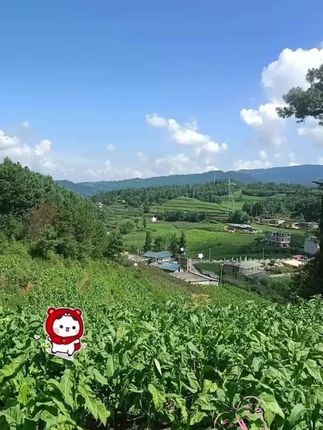 【冲量特价】公干鱼干白公鱼美味小鱼干海鲜干货海燕丁香鱼咸鱼干#小鱼干#干货分享 #好东西一起分享