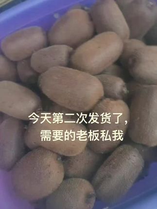 中秋节需要拜访客户的,快来找我下单了#修文贵长猕猴桃 #自家果园采摘 #礼盒包装