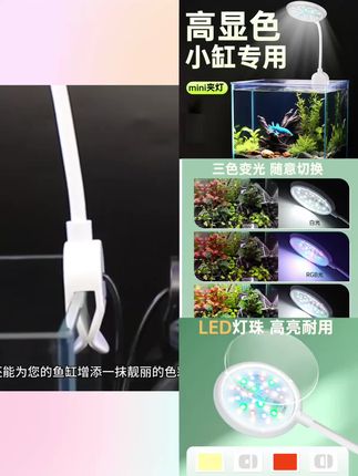小型迷你变色led夹灯适用三色全光谱WRGB光照明USB专用水草观赏灯#三色全光谱#光照明 #迷你变色灯 #水草观赏灯#LED灯