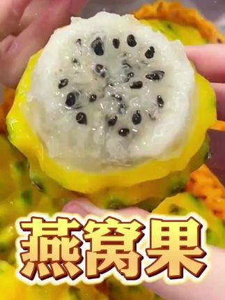 夸孩子也是一门学问要用对方式,不然只能适得其反。#亲子教育 #育儿 #家庭教育 #父母课堂 #干货分享