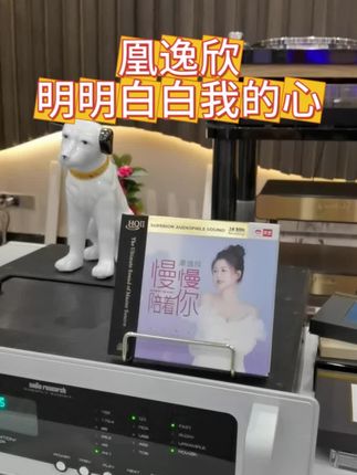 凰逸欣新专辑慢慢陪着你《明明白白我的心》#发烧音响 #发烧hifi #实体唱片