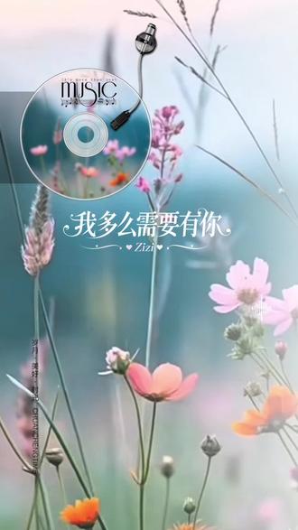 盛晓玫的全部歌曲大全100首-抖音